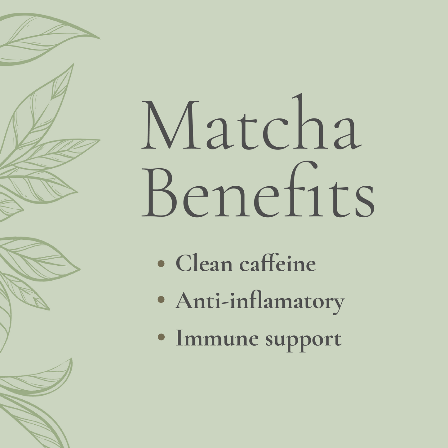 BellaMatcha Complete Bundle - The Ultimate Matcha Experience